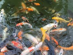 -珠海圆明新园