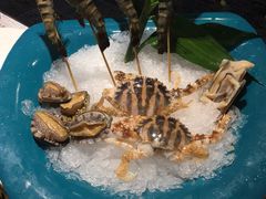 -小天鹅戴斯酒店鲸鲨百汇创作料理