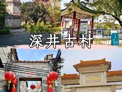 -长洲岛