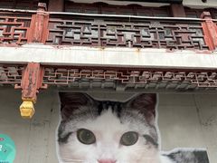 -老城隍庙食品商店(豫园商城店)