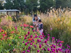 -前小桔亲子创意农场·草莓采摘·露营烧烤