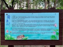 -陈家山荷花公园