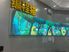 -编程猫·少儿编程(绿宝校区)