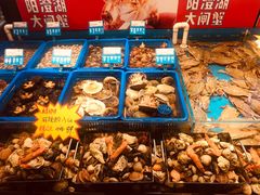 -必点海鲜·鲅鱼水饺(鞍山西道店)