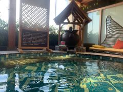 -弘安丽水温泉酒店