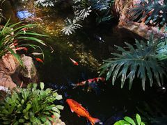 -聚缘堂·海鲜私房菜(松岭路店)