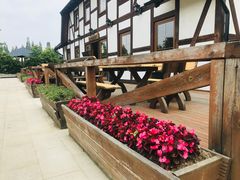 -金山农民画村-枫泾波兰倒置屋