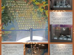 -吉林省自然博物馆