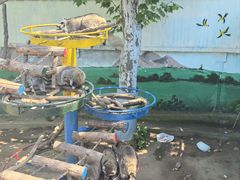 -西霞口神雕山野生动物世界