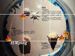 -天津zoonly动物主题公园