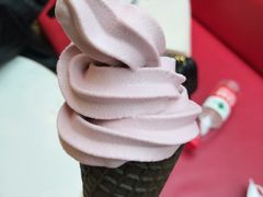 -奈雪的茶(赛格店)
