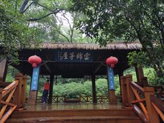 -镇江市南山风景名胜区竹林景区