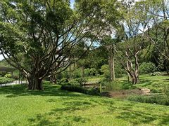 -云溪植物园