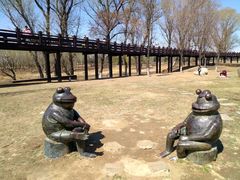 -蒲河岛湿地公园