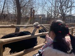 -大连森林动物园