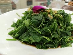 -朝郡酒家·粤菜(燕大星苑店)