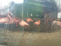 -石家庄市动物园