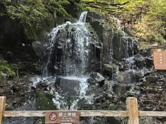 -本溪汤沟绿石谷森林公园