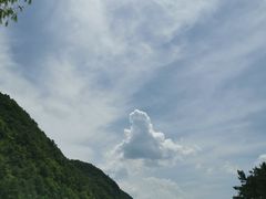 -王顺山国家森林公园