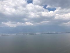 -才村湿地公园