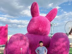 -秦皇岛乐岛海洋王国