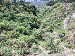 潭溪山风景-潭溪山