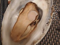 -菊上料理(蜀山银泰百货店)