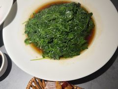 -吴越荣记苏州菜·松鼠桂鱼100%活鱼现做(斜塘老街店)