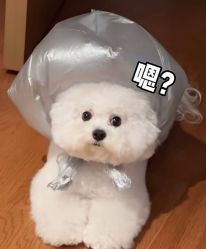 -丽心自助美甲美睫