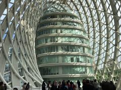 -凤凰中心
