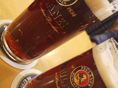 -Restaurant Paulaner am Dom