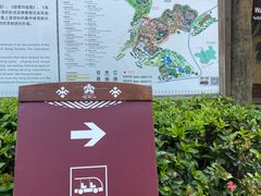 -海南槟榔谷黎苗文化旅游区