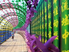 -杭州湾海上花田景区