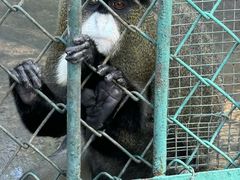 -秦皇岛野生动物园