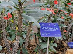 -国家植物园南园