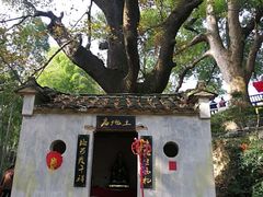-塔川景区
