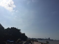-上海滨江森林公园