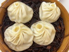 -老西白点心店