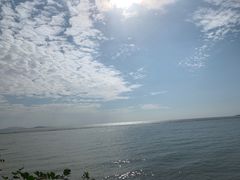 -贡湖湾湿地公园