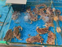 -海蓝海鲜馆(五四北店)