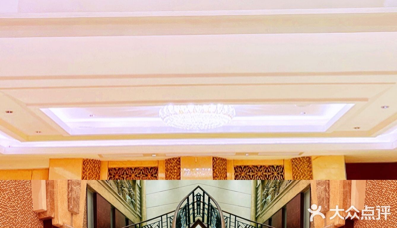 魔都探店💐|杏花又重开 高贵又不贵 💰