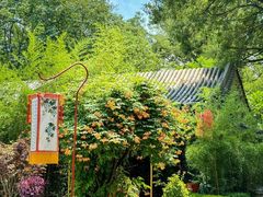 -白家大院·王府宫廷菜(苏州街店)