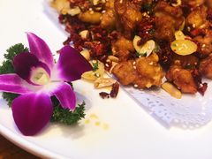 -饭怕鱼(阳光100店)