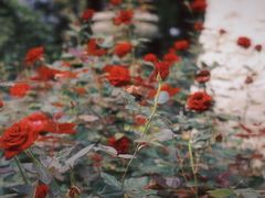 -人民公园(罗湖区)