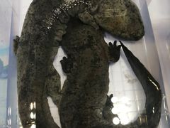 -重庆国际会议展览中心