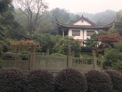 -十八棵（老龙井）御茶园(老龙井店)