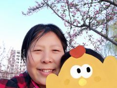 -红蕾家政·保姆·育儿嫂·钟点工