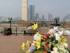-武汉知音号