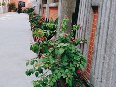 -上海鲁迅故居