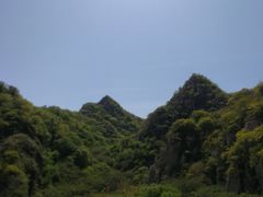 -大岭沟猕猴桃谷风景区